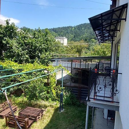 Eleana Villa Borzsomi Kültér fotó